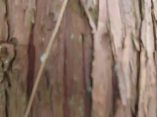 Stark meztelen japán kövér frog fiatal hölgy -ban a swamp hd